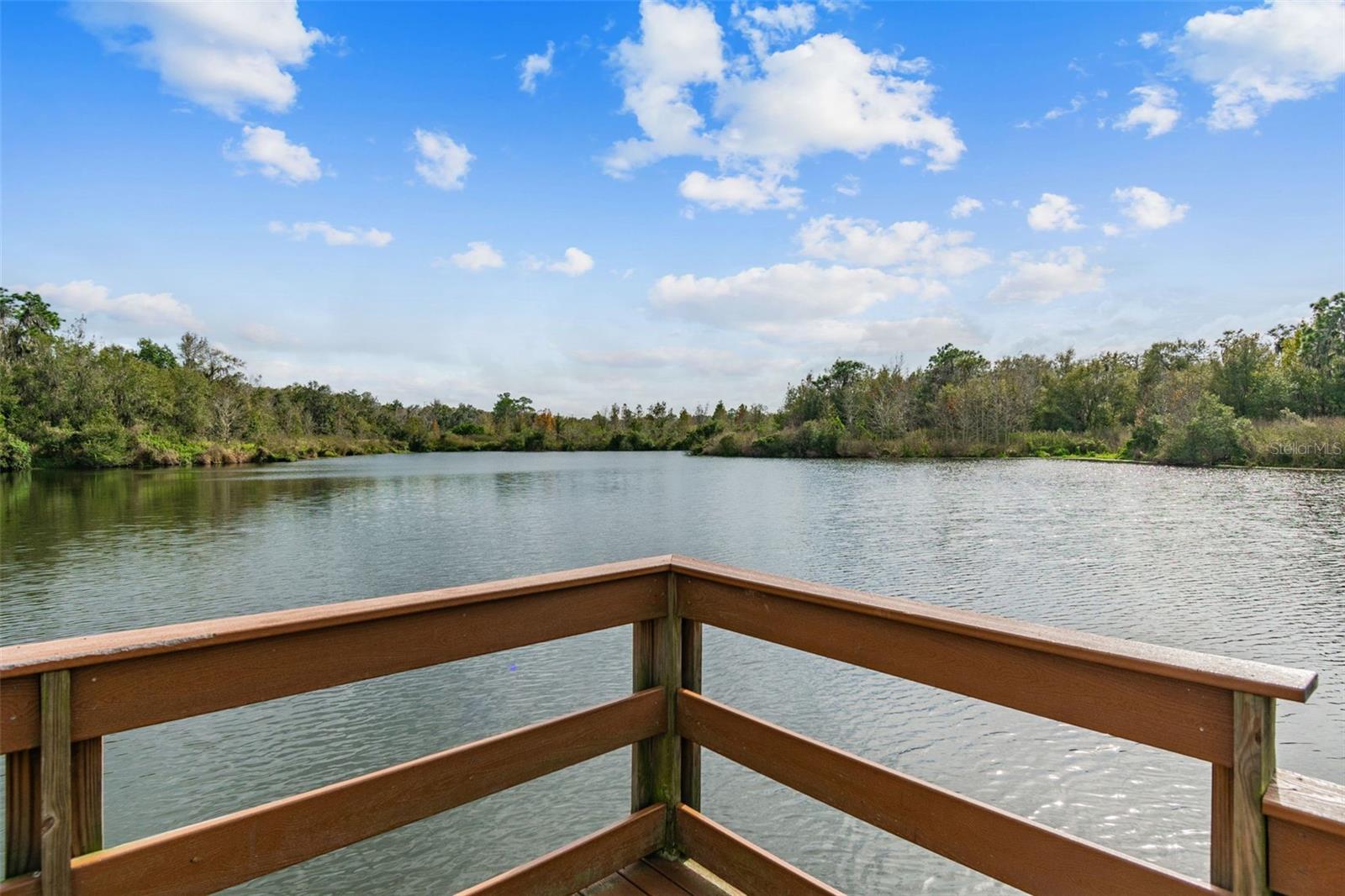 Listing photo id 78 for 14309 Azalea Pond Court