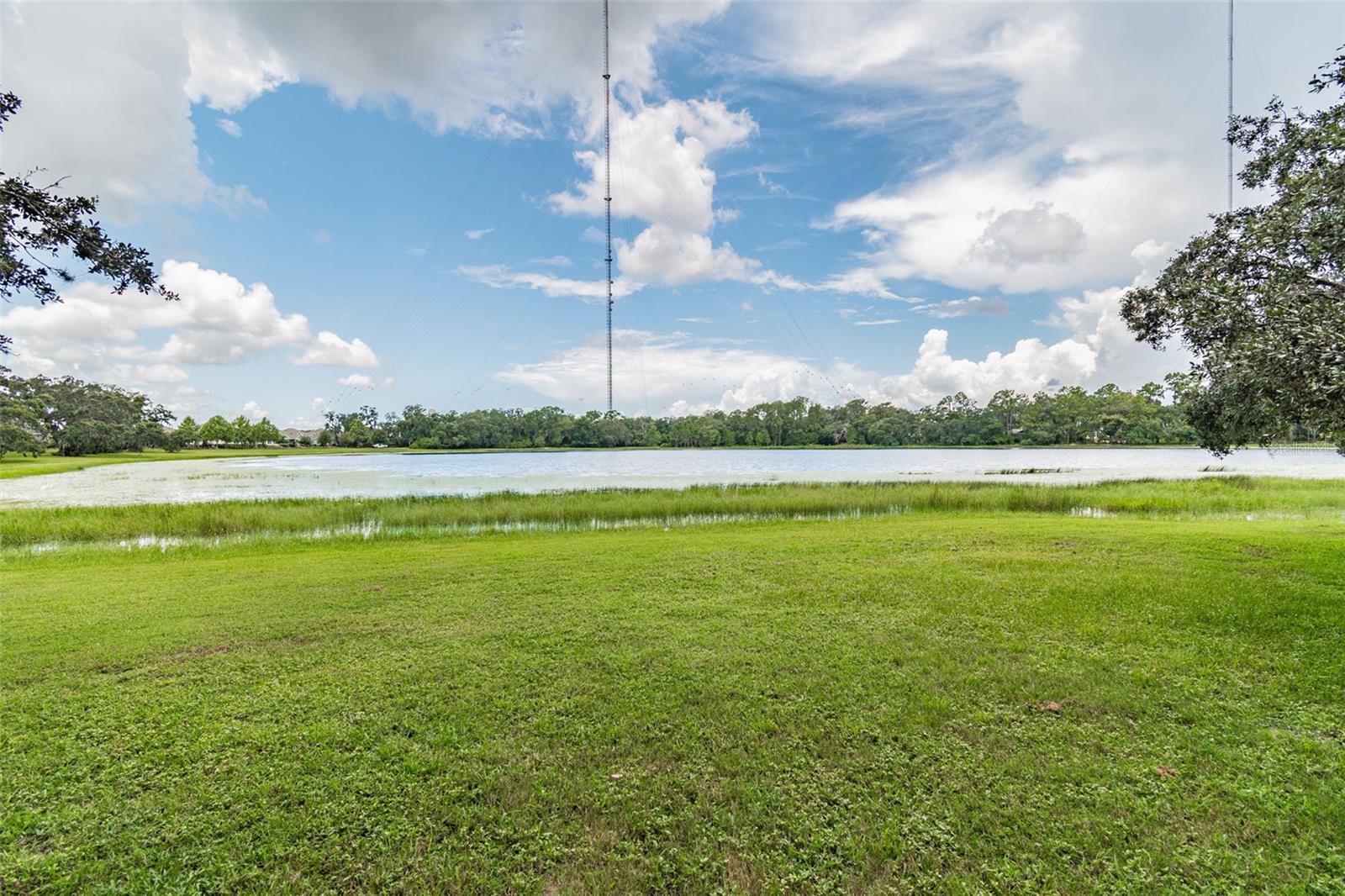 Listing photo id 85 for 14309 Azalea Pond Court