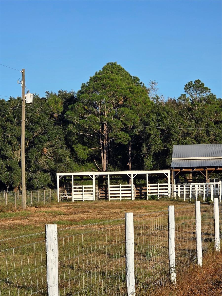 Image 38 of 65 For 14479 Angus Road