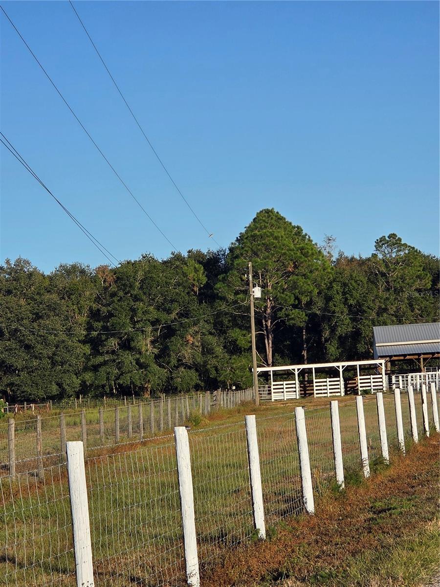 Image 39 of 65 For 14479 Angus Road