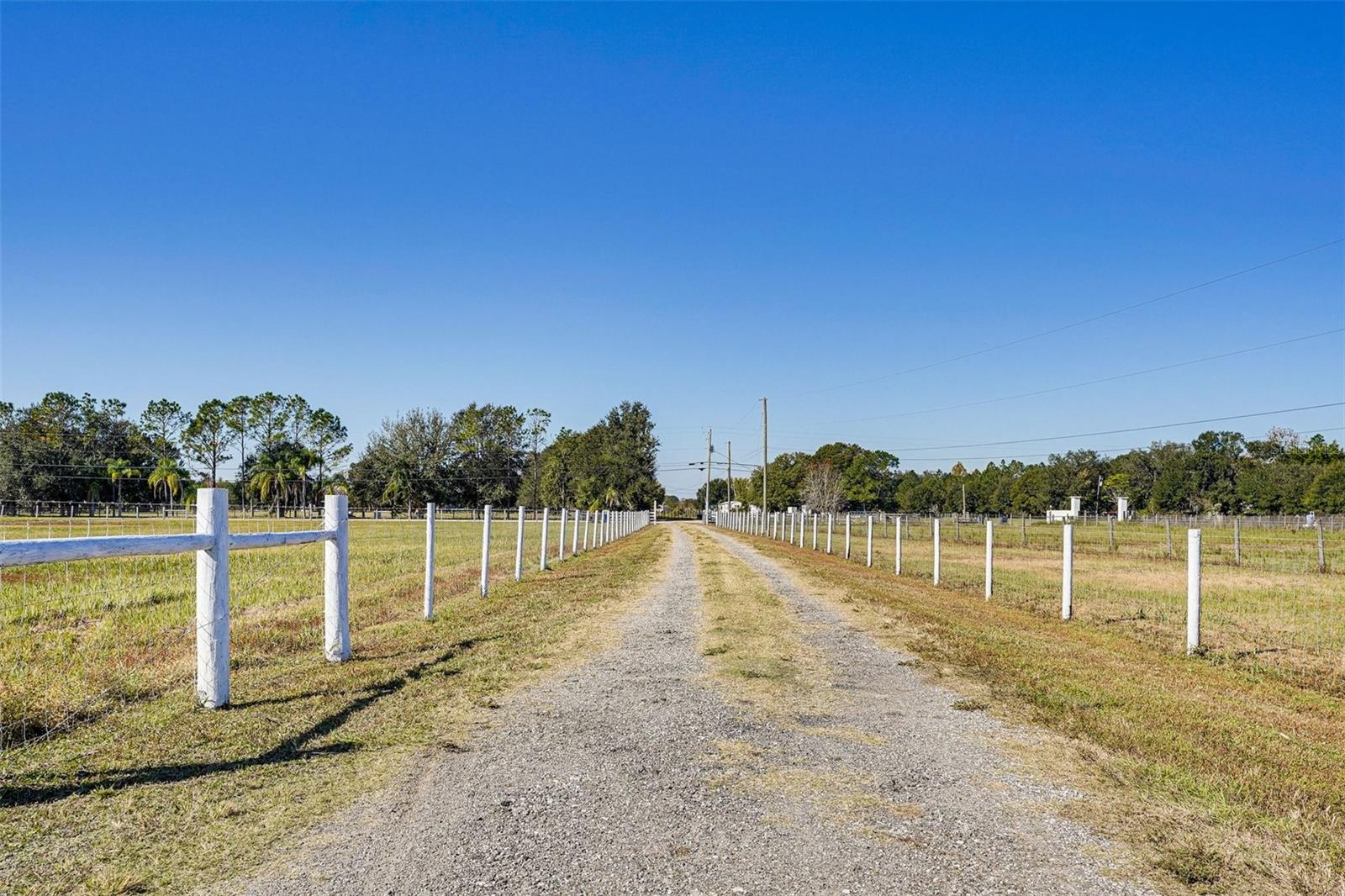 Image 65 of 65 For 14479 Angus Road