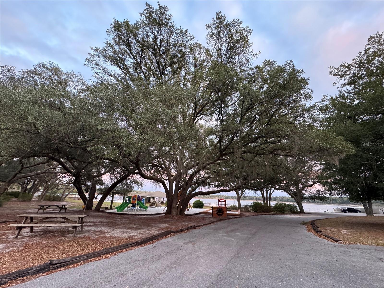 Image 56 of 61 For 3320 Eagle Court