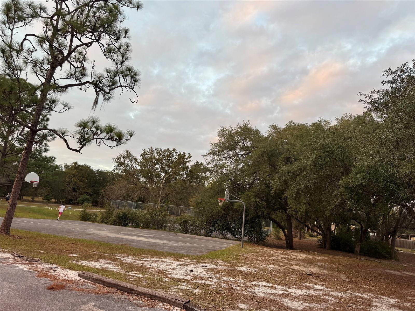 Image 59 of 61 For 3320 Eagle Court