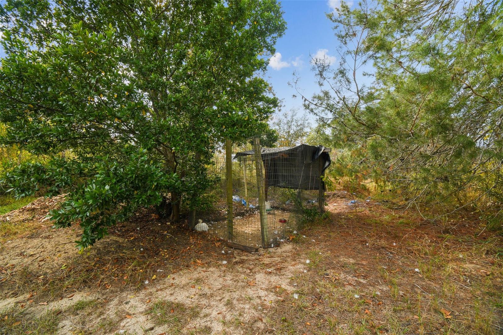 Image 50 of 88 For 11473 Finch Road