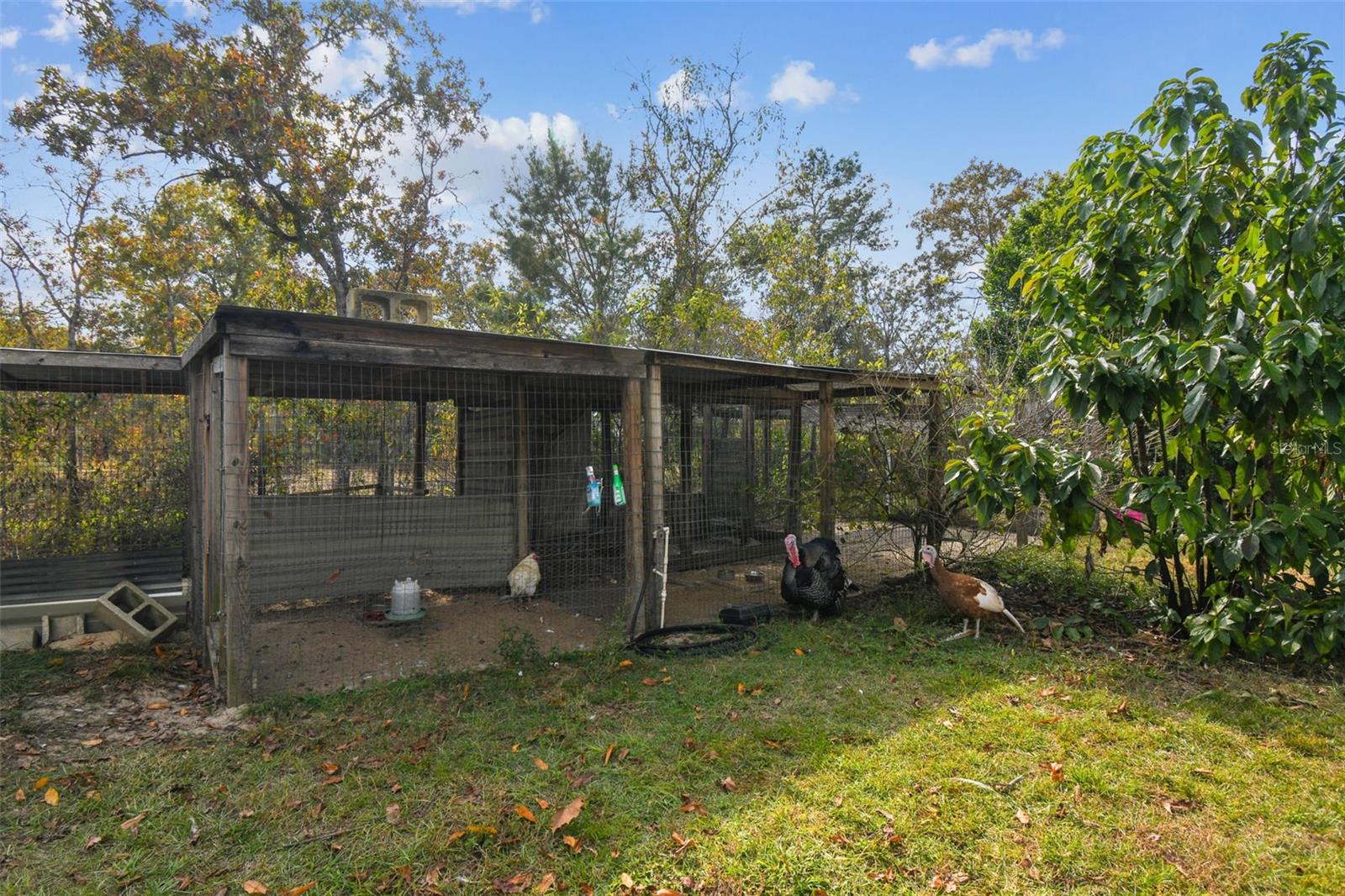 Image 52 of 88 For 11473 Finch Road