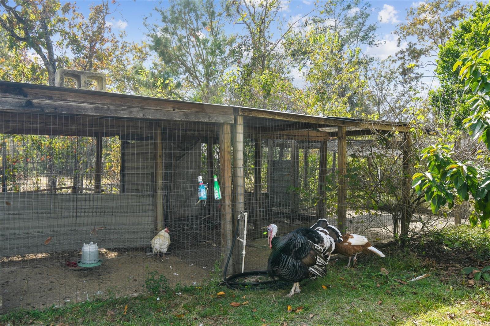 Image 53 of 88 For 11473 Finch Road