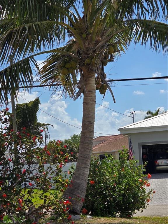 Image 10 of 39 For 1017 15th Street