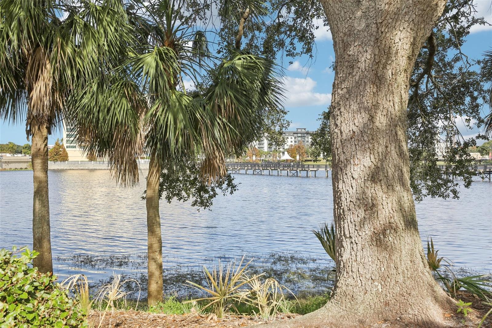 Image 7 of 25 For Address Not Provided