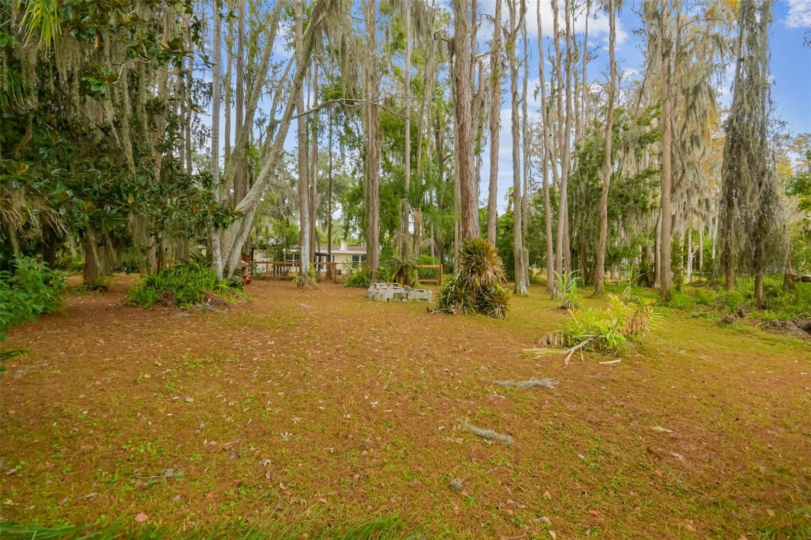 Image 18 of 30 For 6150 Drexel Road