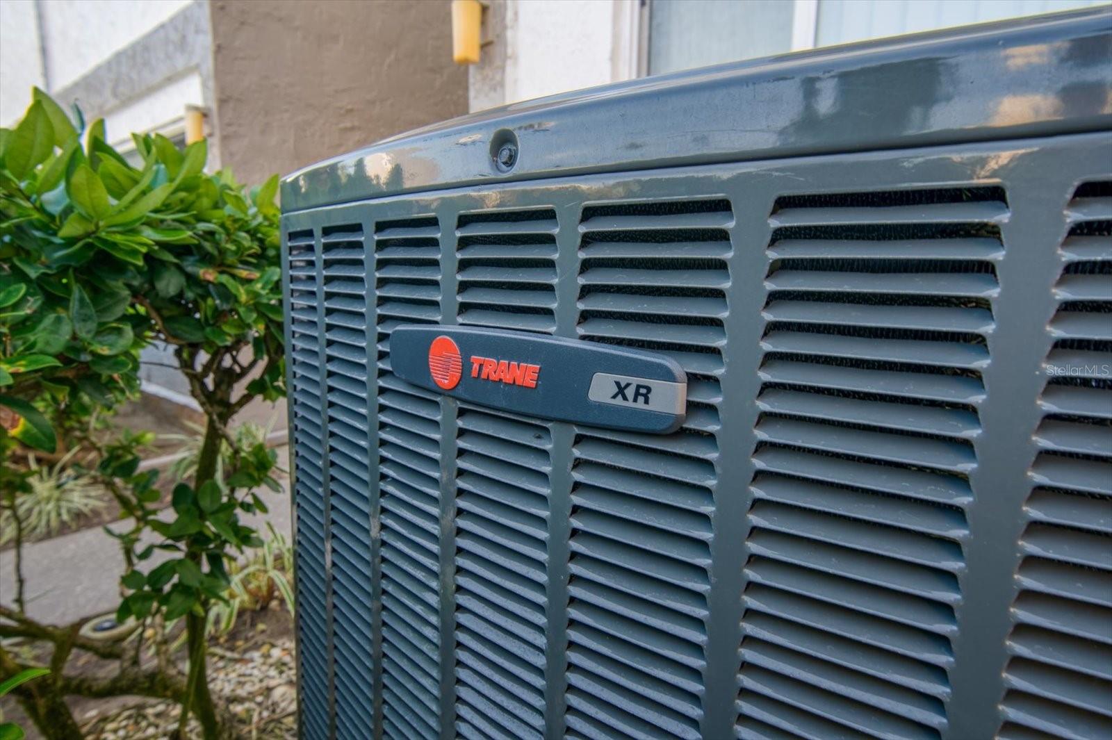 Image 42 of 52 For 1351 Gulf Boulevard 219