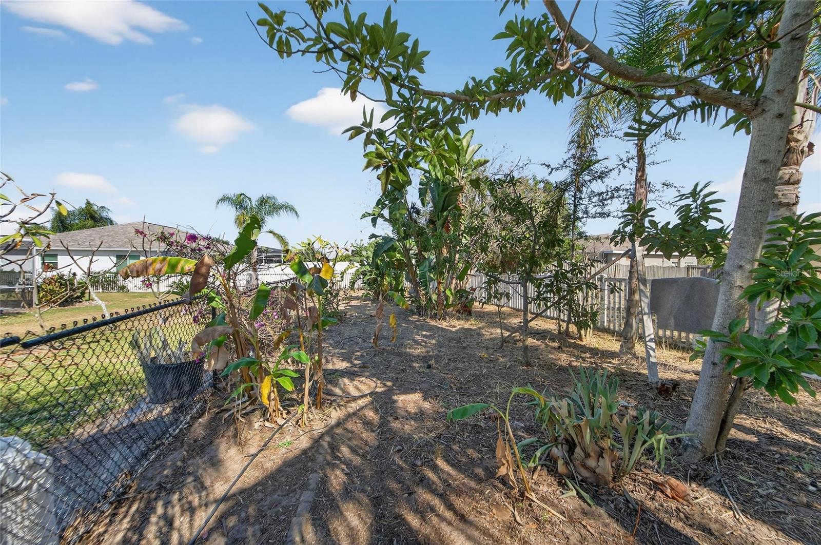 Image 77 of 87 For 1615 Oracle Drive