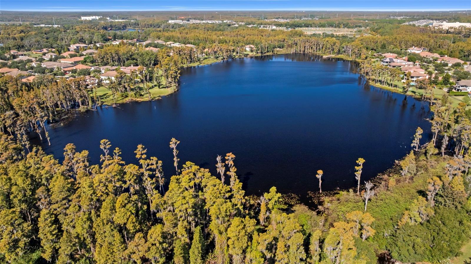 Listing photo id 90 for 17301 Ladera Estates Boulevard