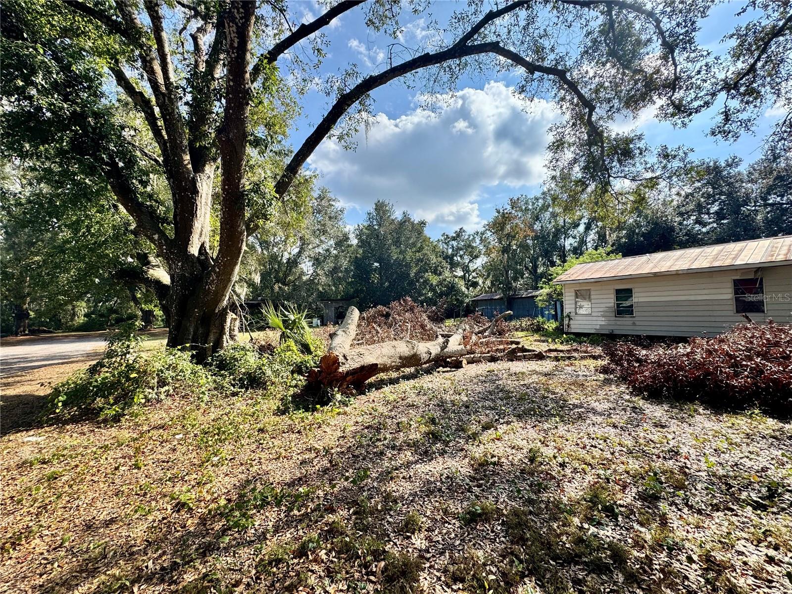 Image 6 of 13 For 4702 Strauss Road