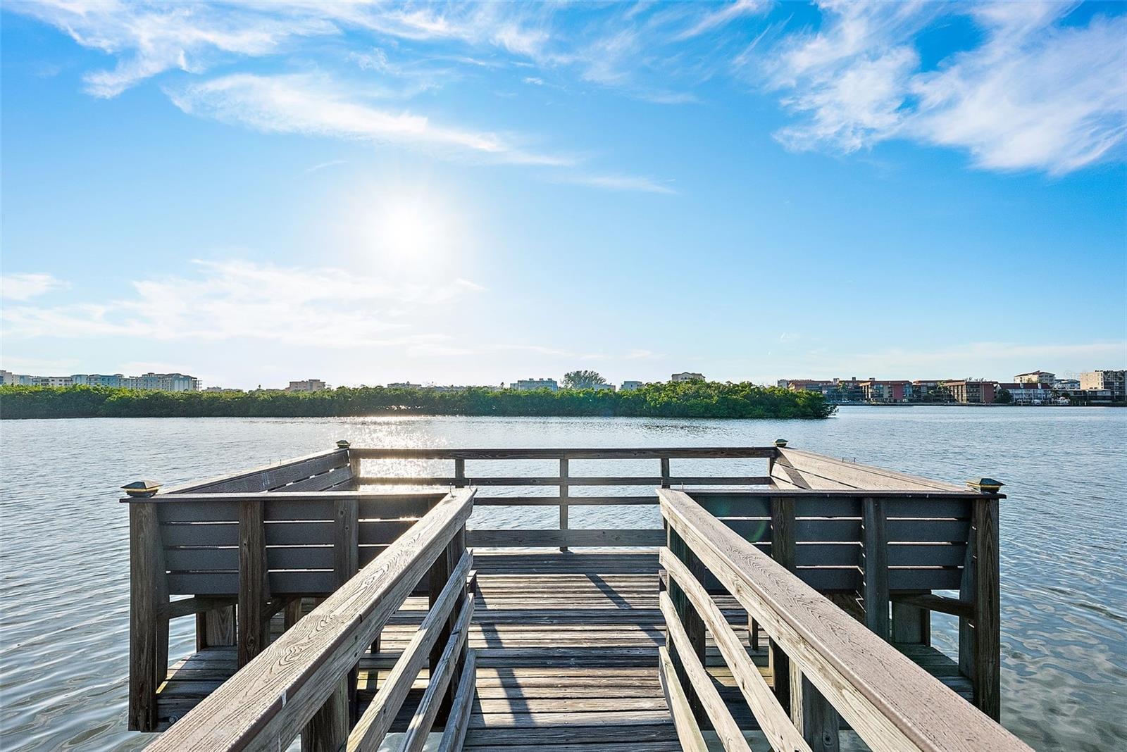 Image 44 of 51 For 14508 Alejo Court