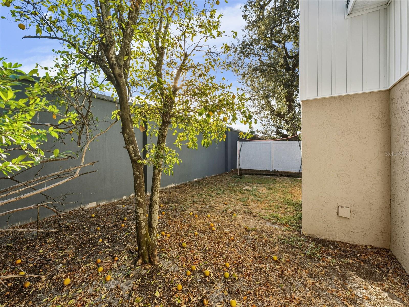 Image 29 of 34 For 4016 Nassau Street