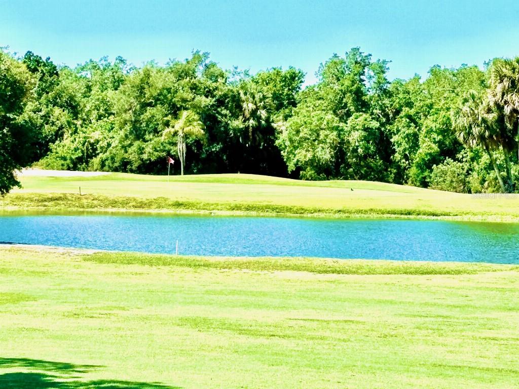 Image 3 of 5 For 1041 Capri Isles Boulevard 219