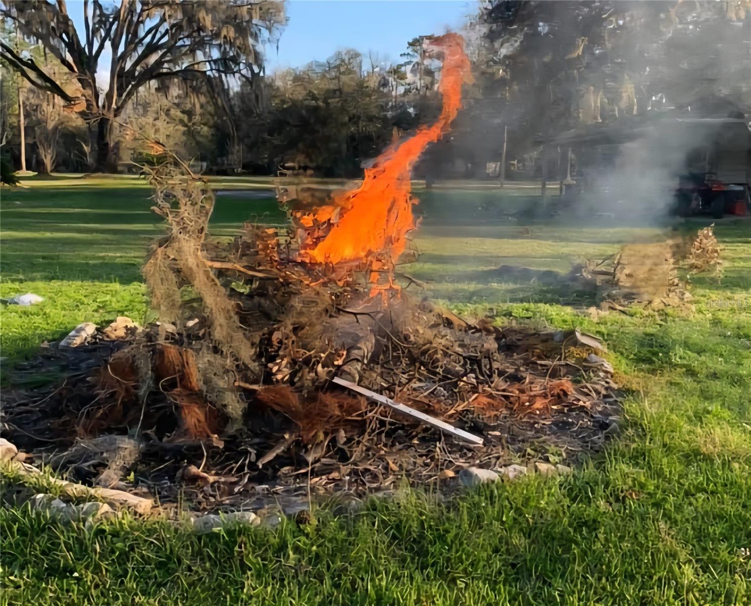 Image 15 of 90 For 11419 Old Crystal River Road