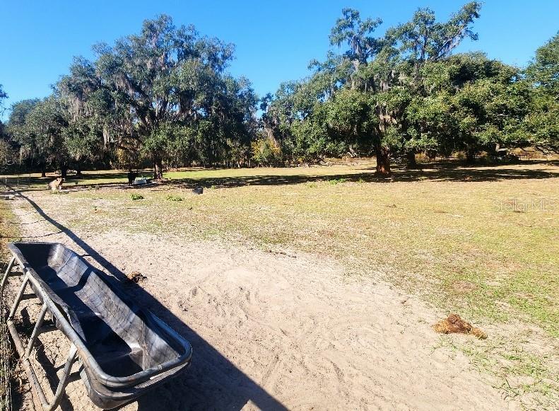 Image 19 of 90 For 11419 Old Crystal River Road