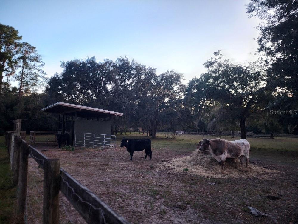 Image 83 of 90 For 11419 Old Crystal River Road