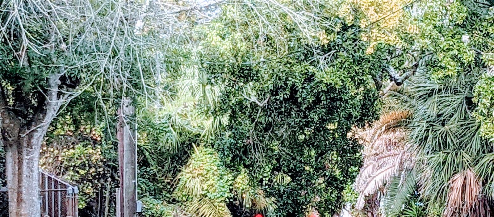 Image 28 of 42 For 1310 Woodlawn Avenue