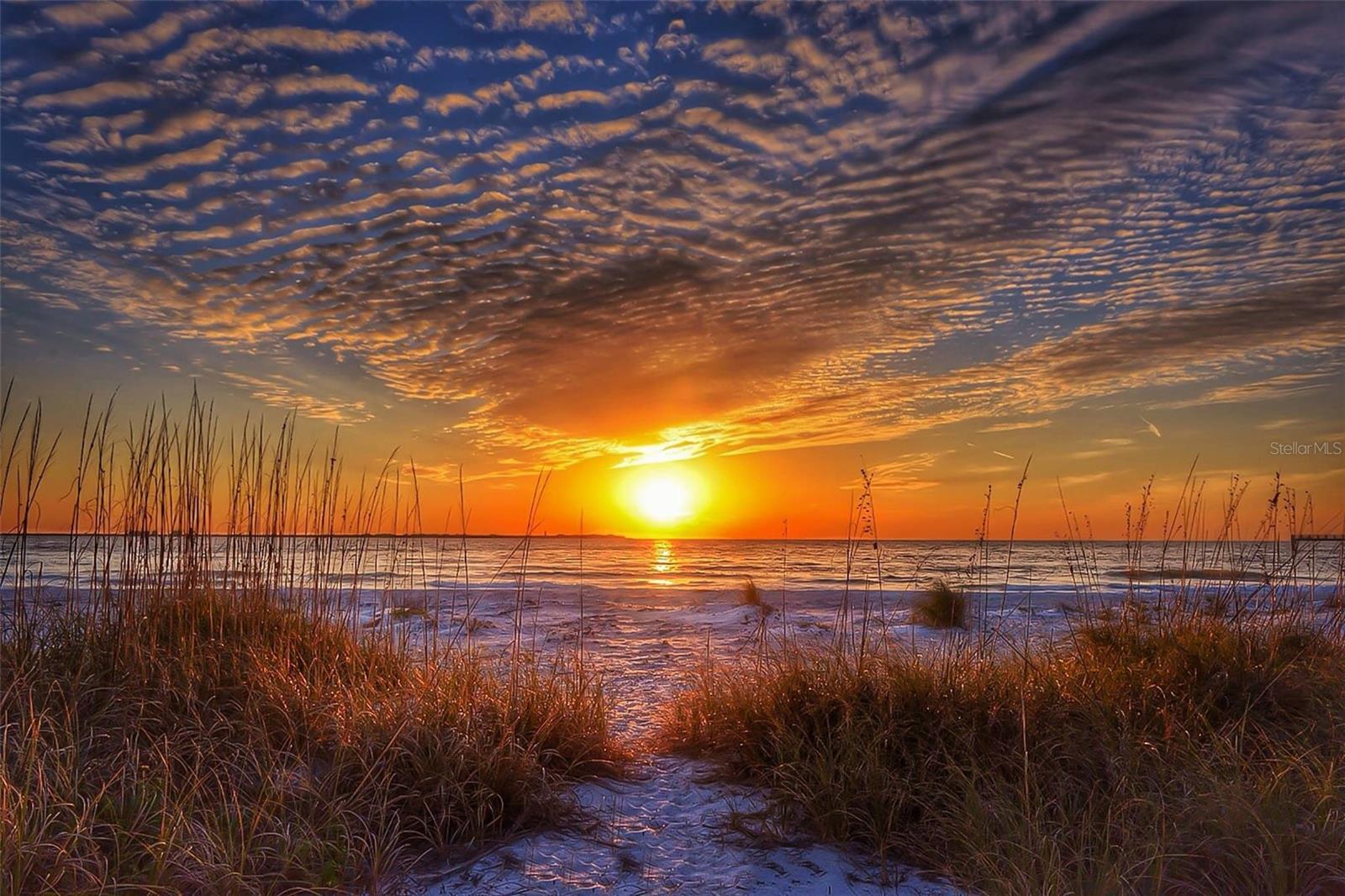 Image 58 of 61 For 12000 Gulf Boulevard 604n