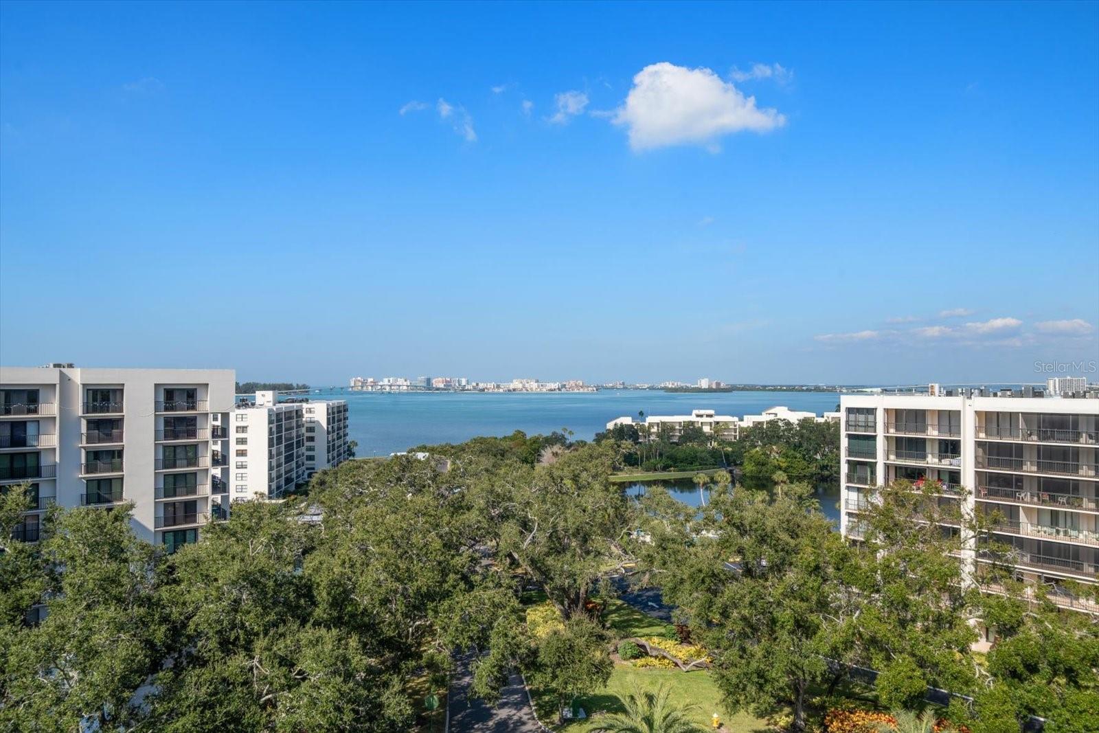 Image 45 of 79 For 8 Palm Terrace 605