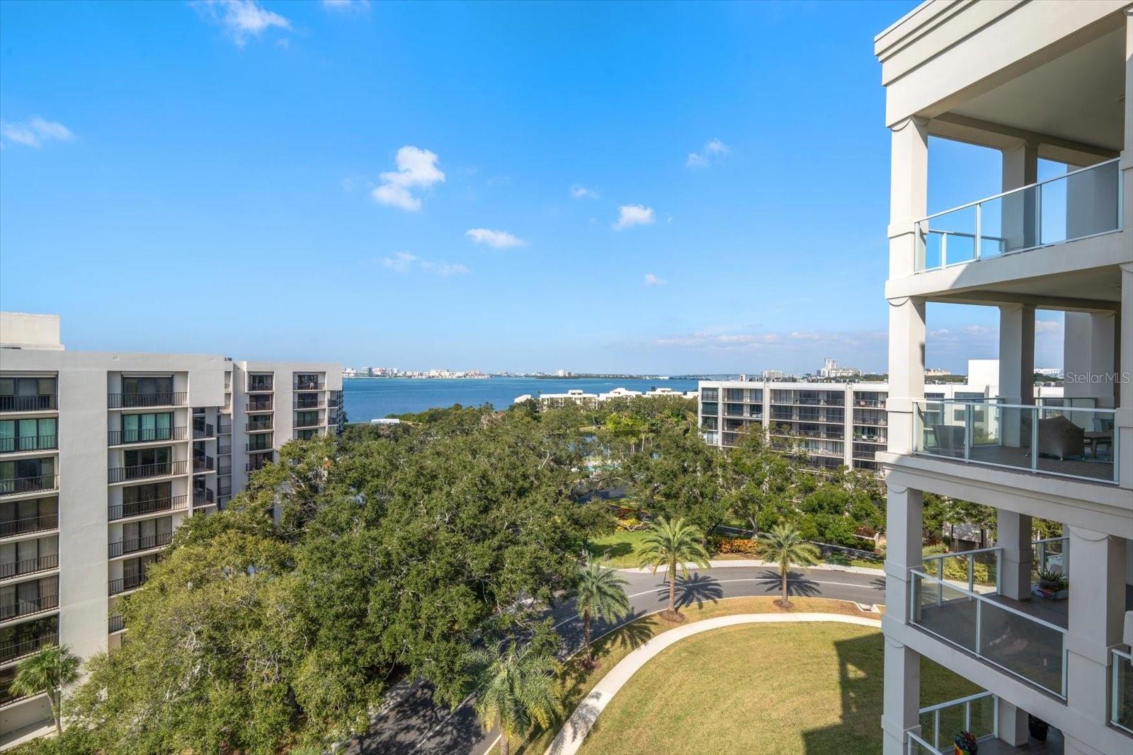 Image 59 of 79 For 8 Palm Terrace 605