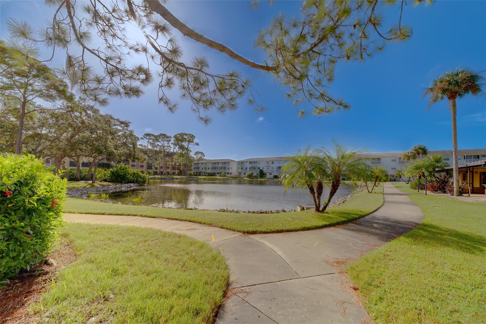 Image 52 of 66 For 5849 Park Street N 404