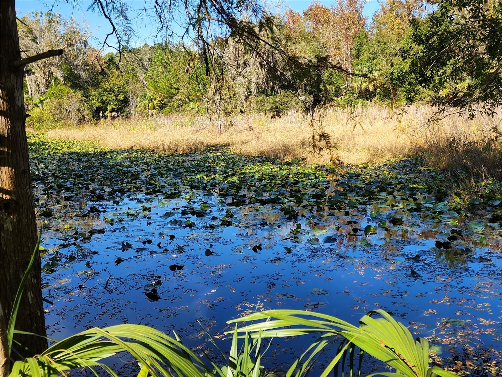Image 3 of 80 For 13022 Shawnee Trail