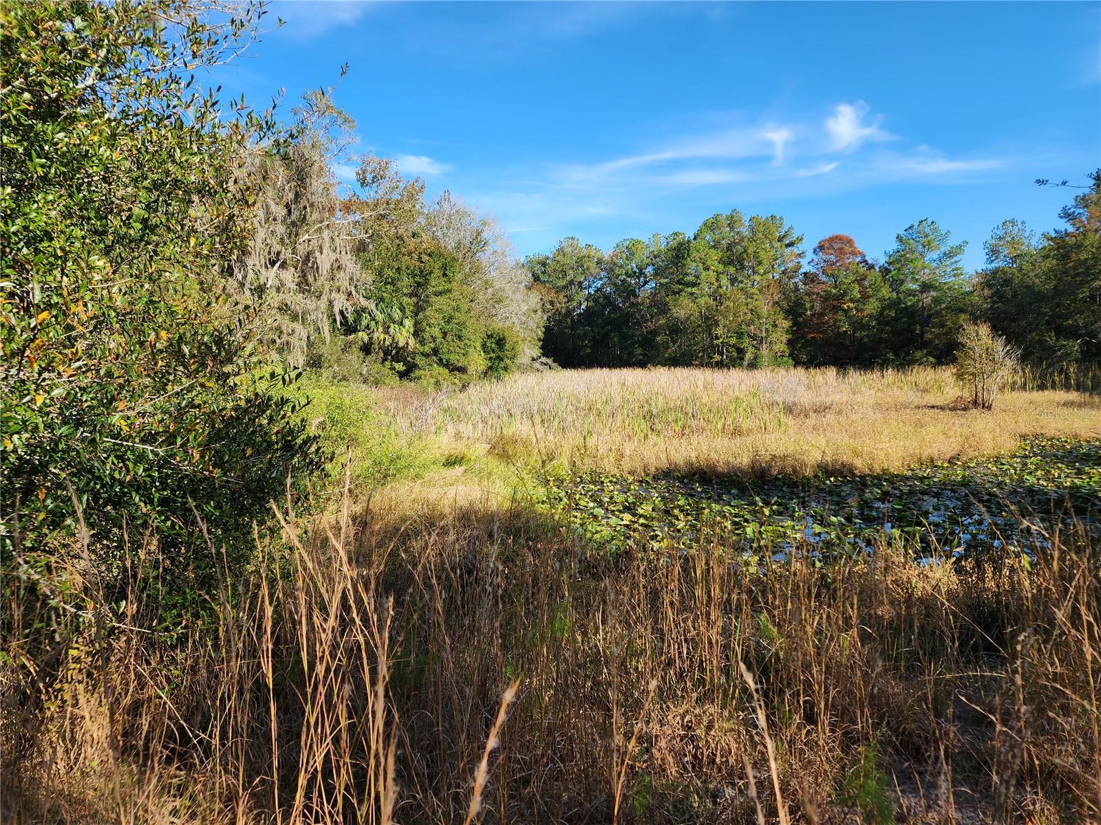 Image 40 of 80 For 13022 Shawnee Trail