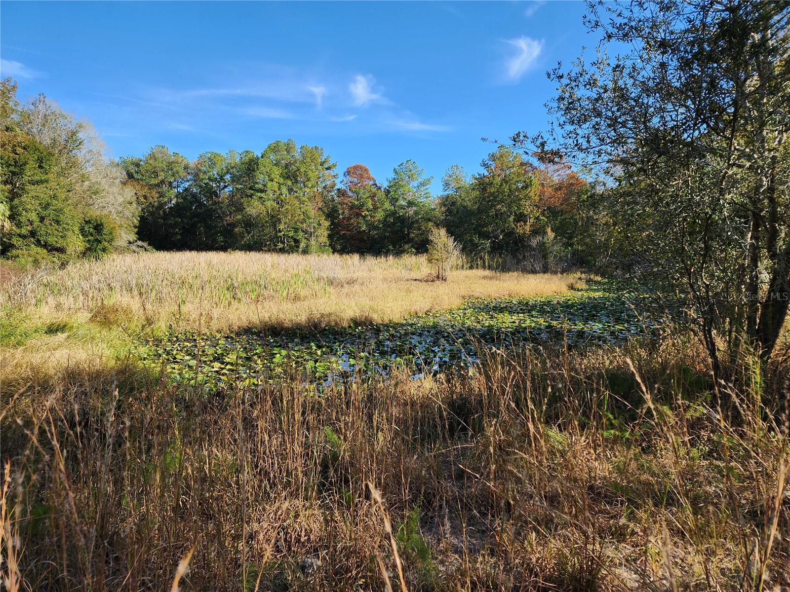 Image 41 of 80 For 13022 Shawnee Trail