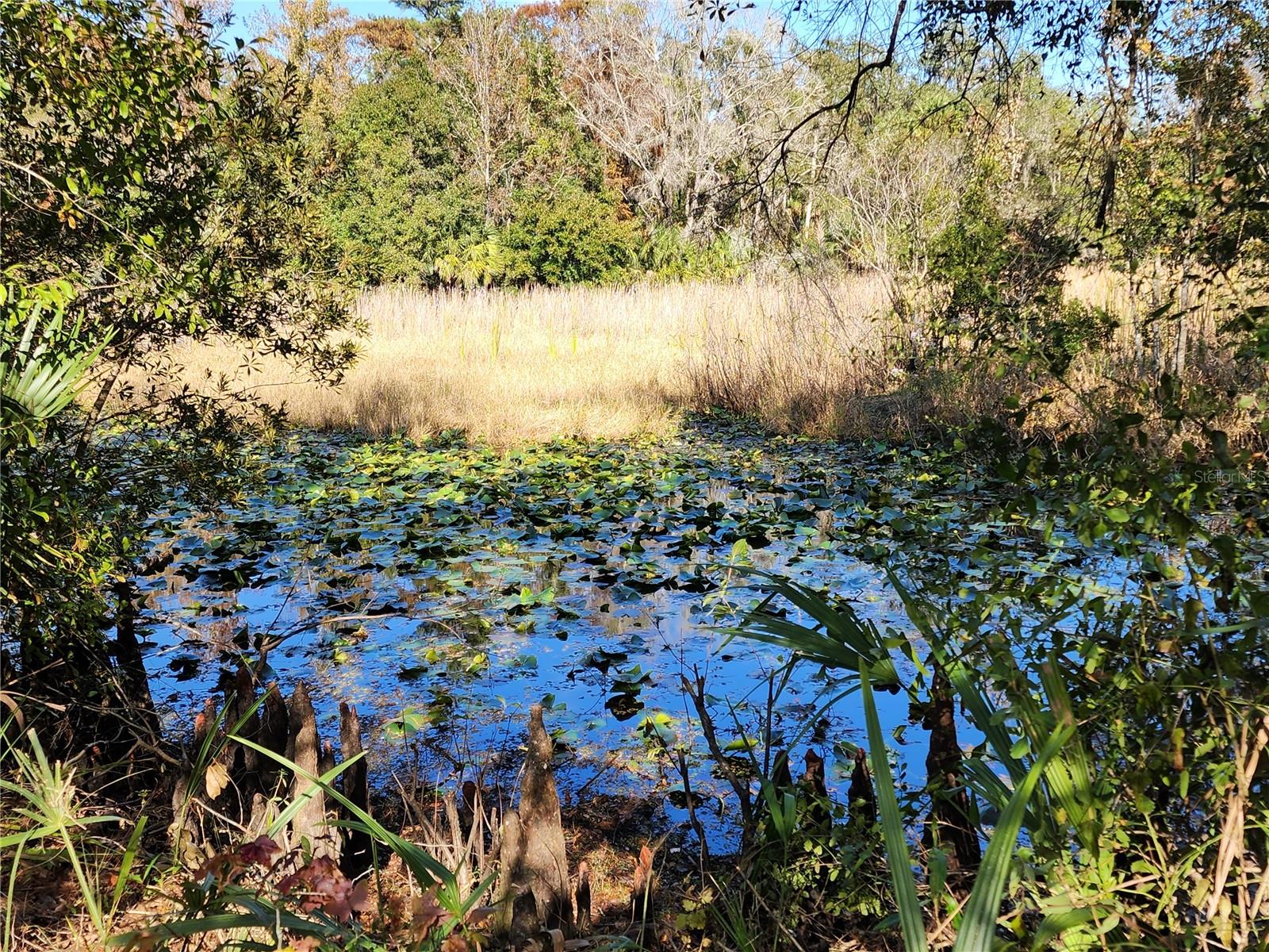 Image 45 of 80 For 13022 Shawnee Trail