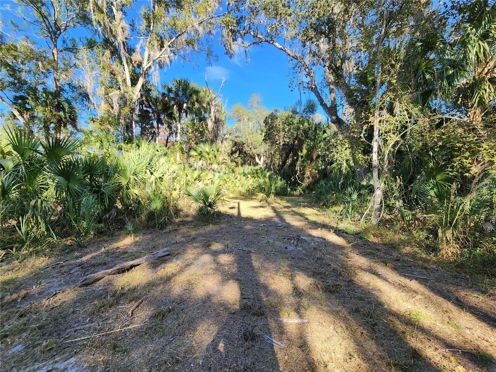 Image 48 of 80 For 13022 Shawnee Trail