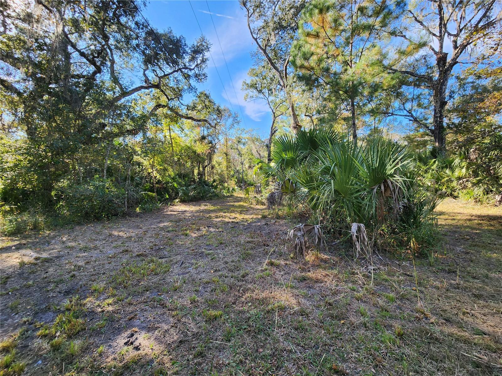 Image 54 of 80 For 13022 Shawnee Trail