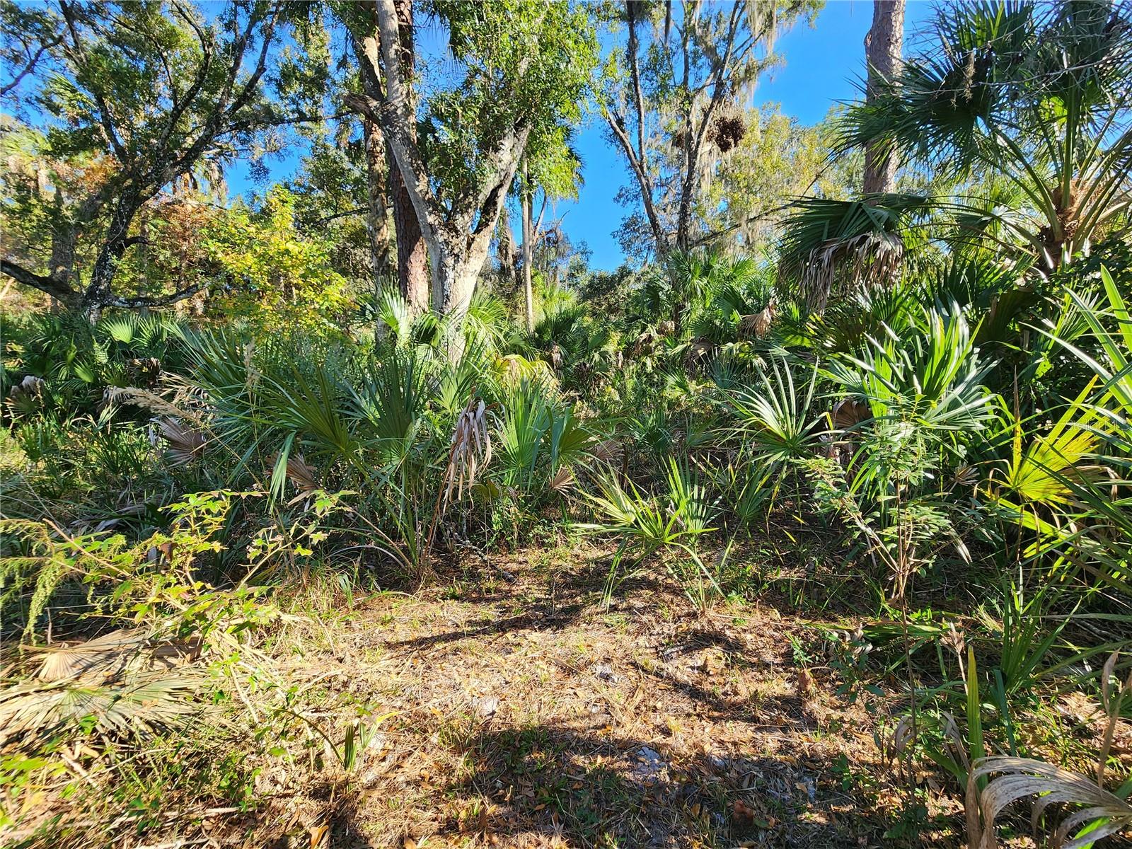 Image 72 of 80 For 13022 Shawnee Trail