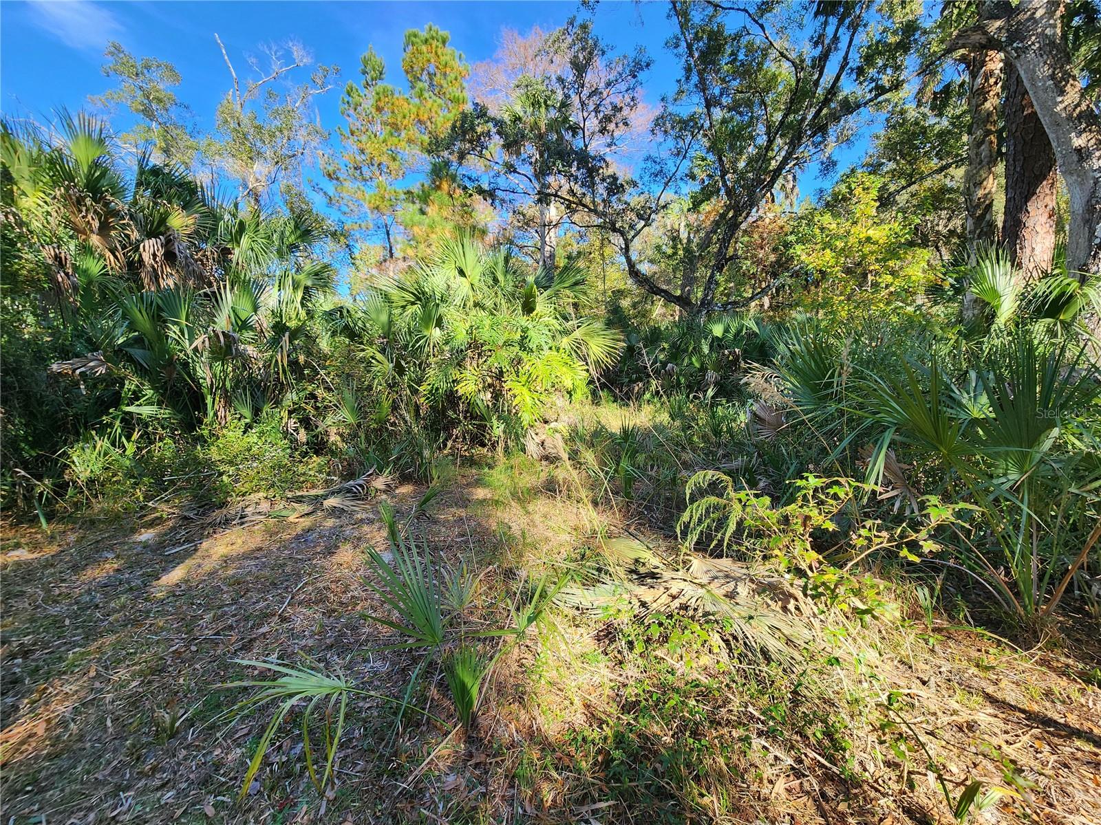 Image 73 of 80 For 13022 Shawnee Trail