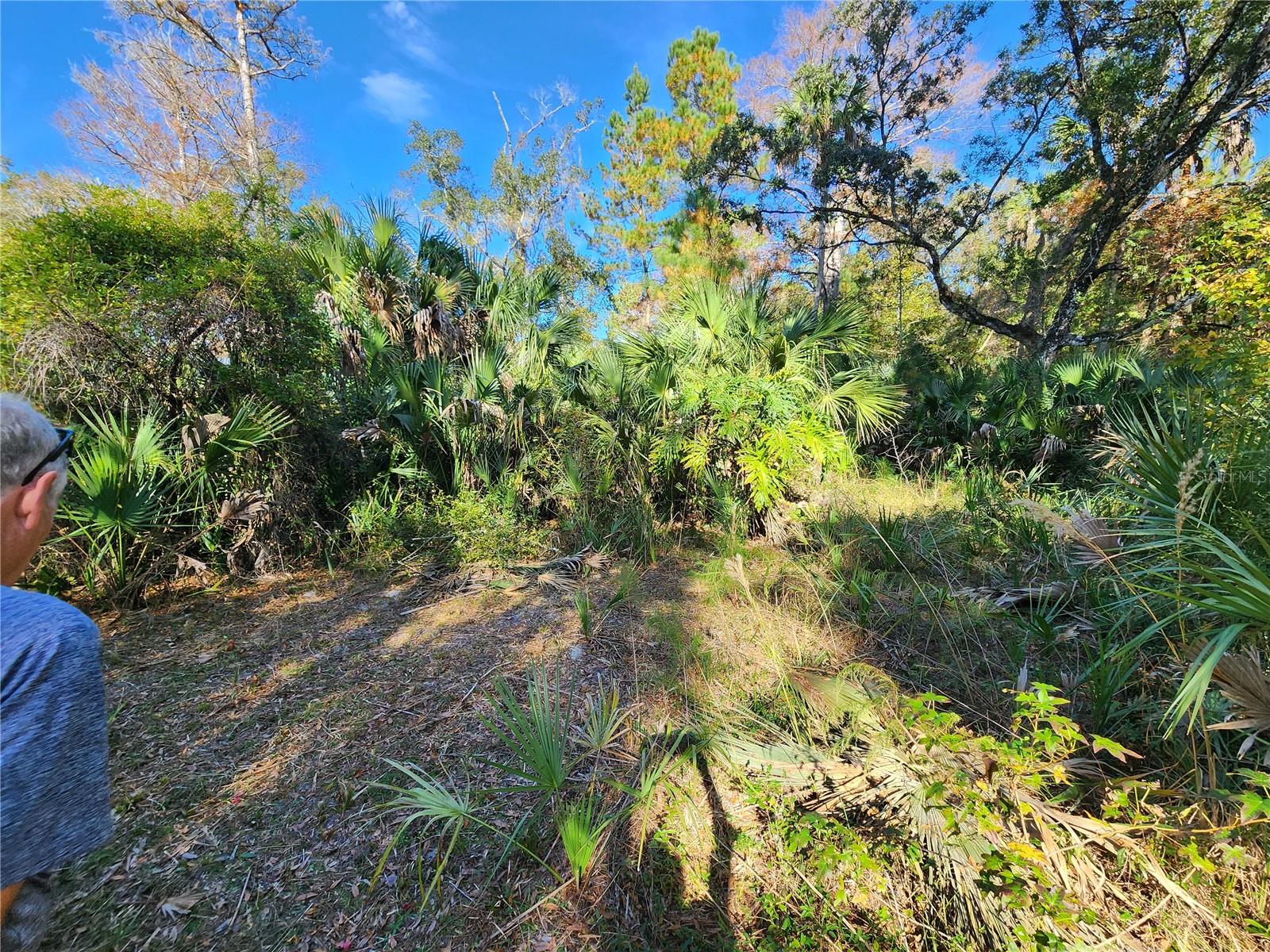 Image 74 of 80 For 13022 Shawnee Trail