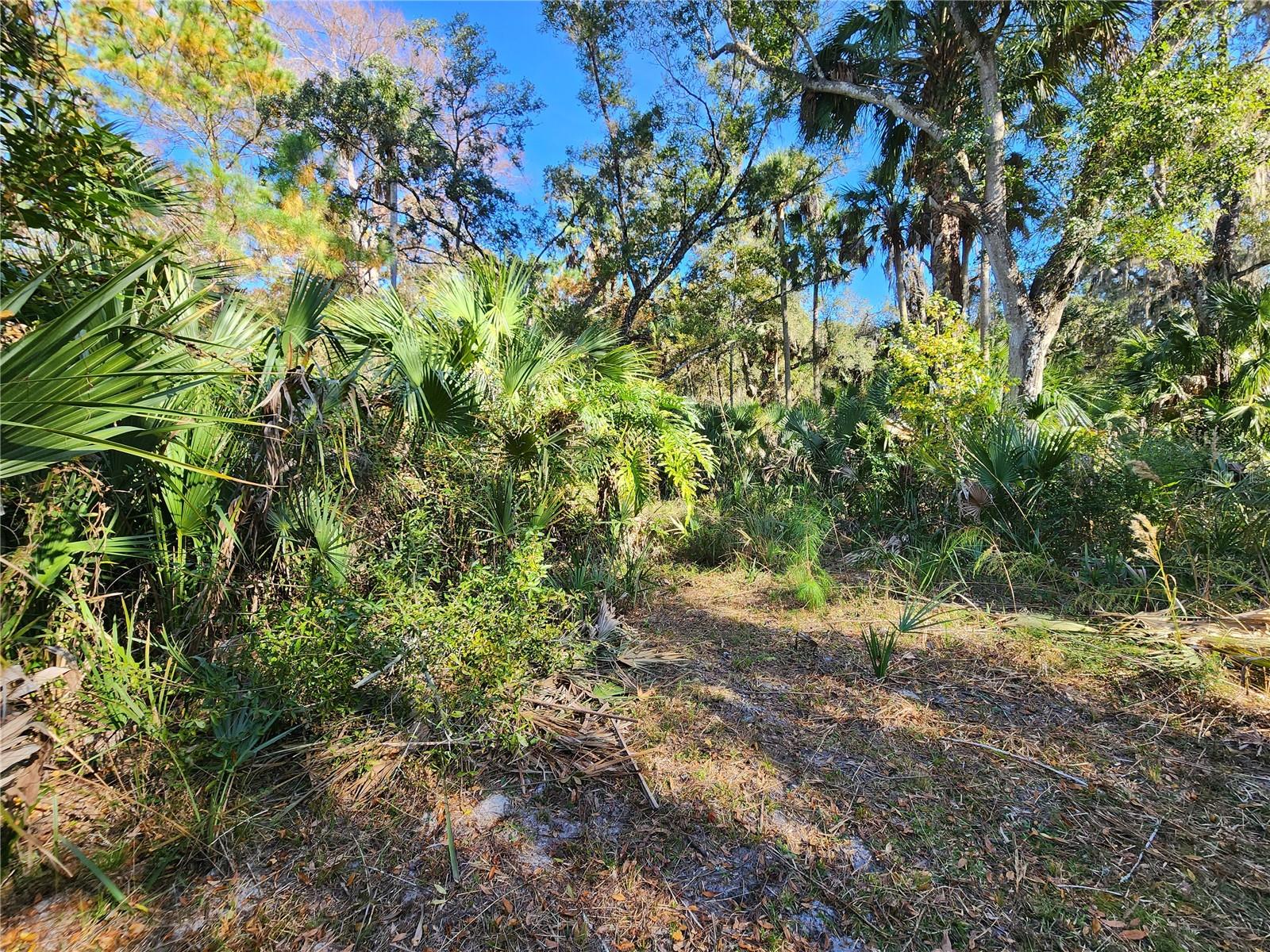 Image 75 of 80 For 13022 Shawnee Trail