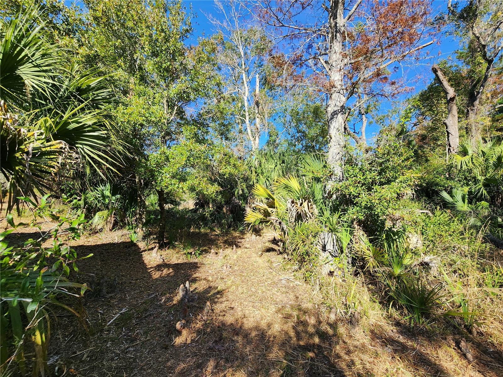 Image 76 of 80 For 13022 Shawnee Trail