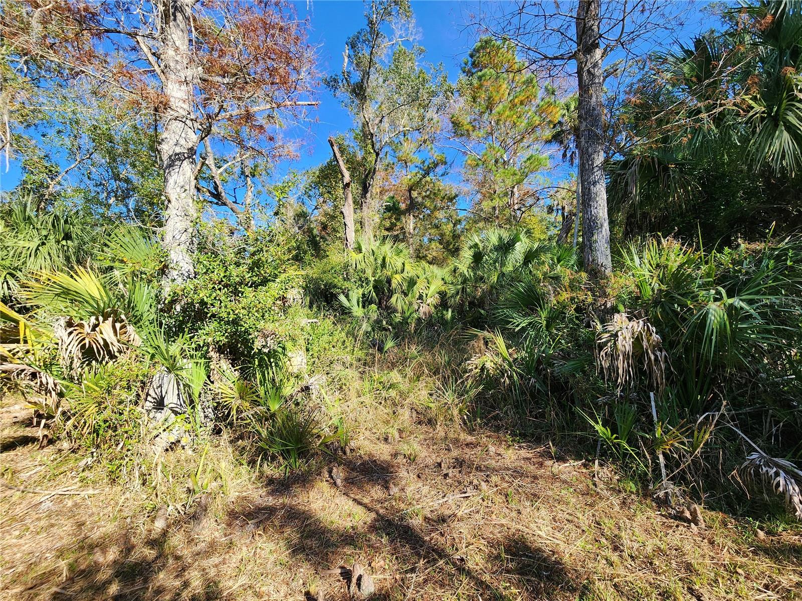 Image 77 of 80 For 13022 Shawnee Trail