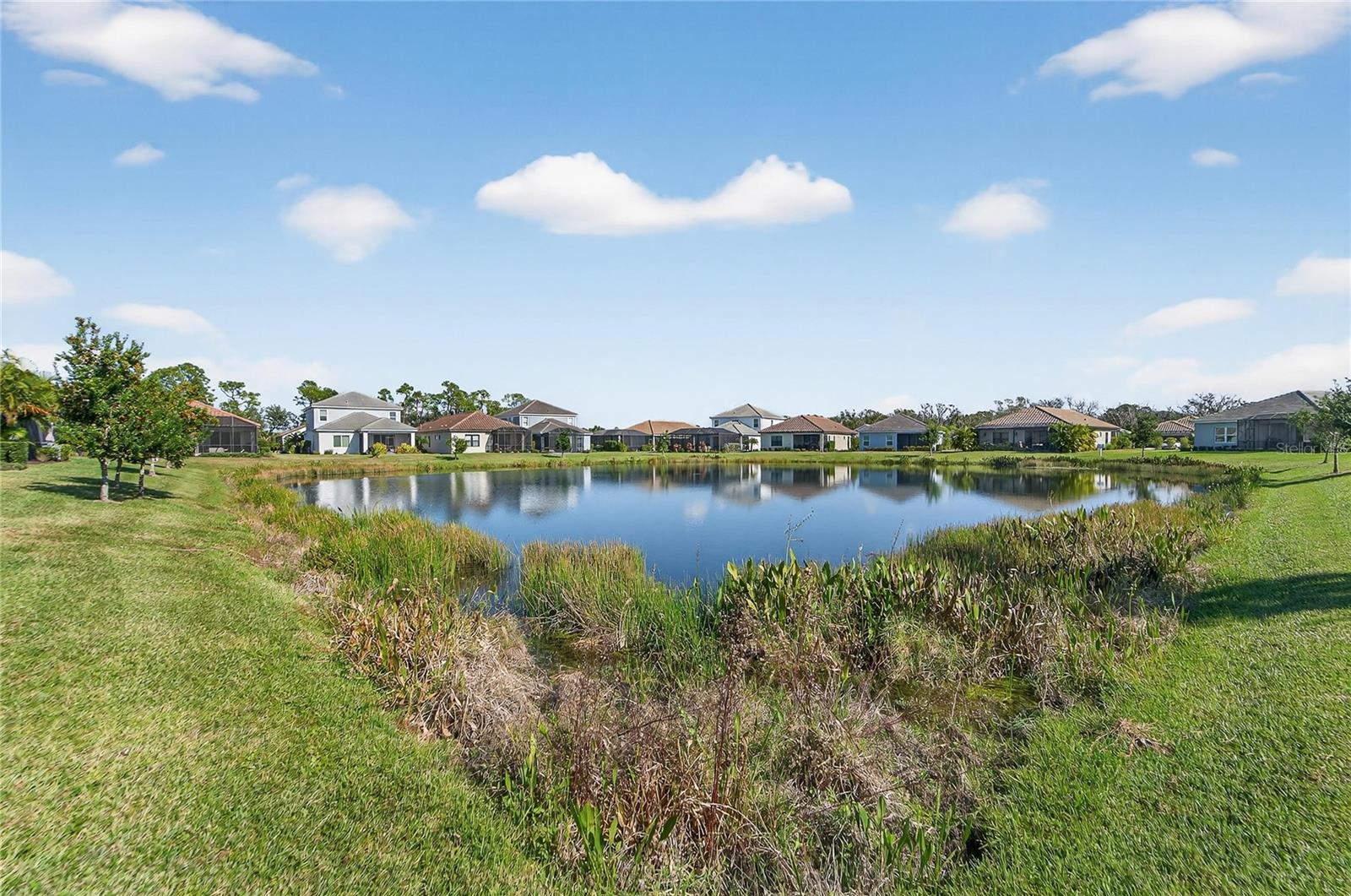 Image 44 of 64 For 3403 Azurite Way