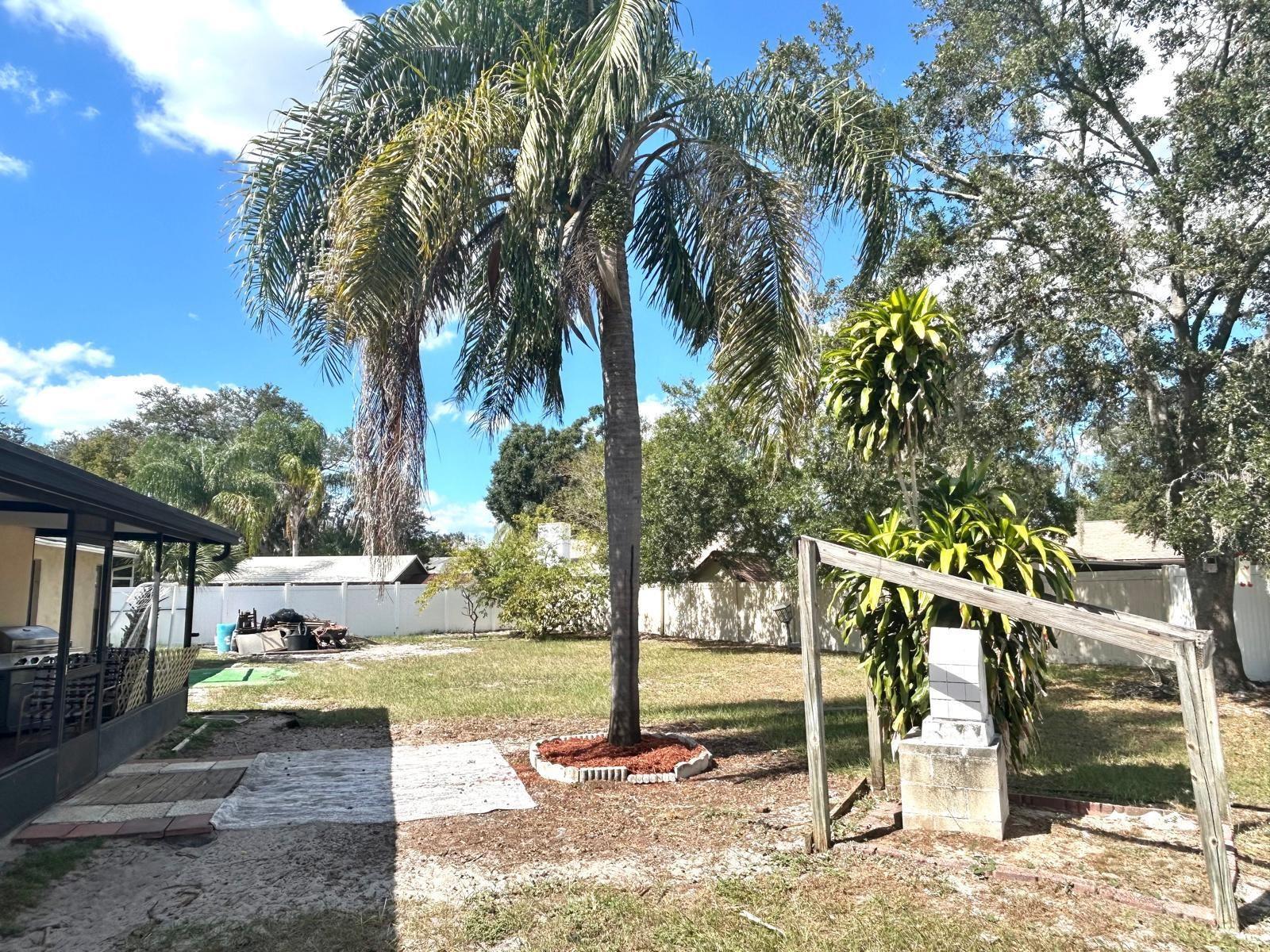 Listing photo id 44 for 522 Wynnwood Drive