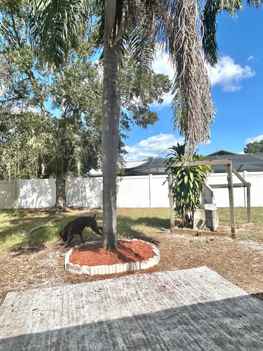 Listing photo id 51 for 522 Wynnwood Drive