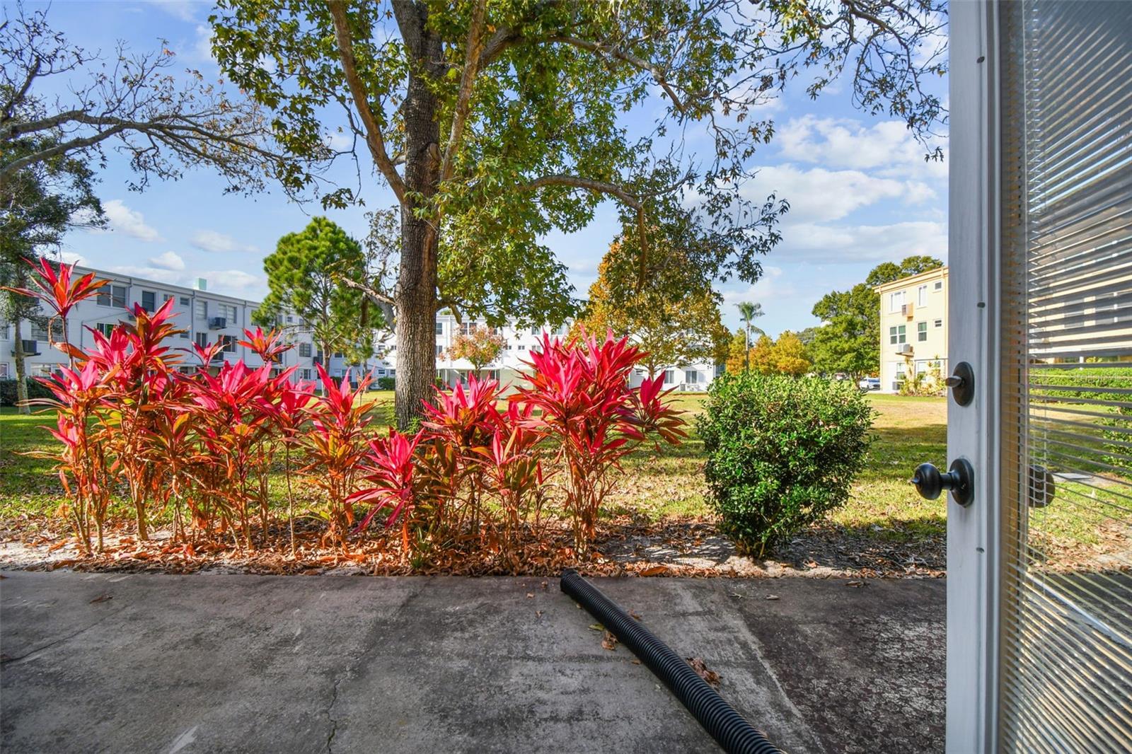 Image 30 of 73 For 2466 Ecuadorian Way 6