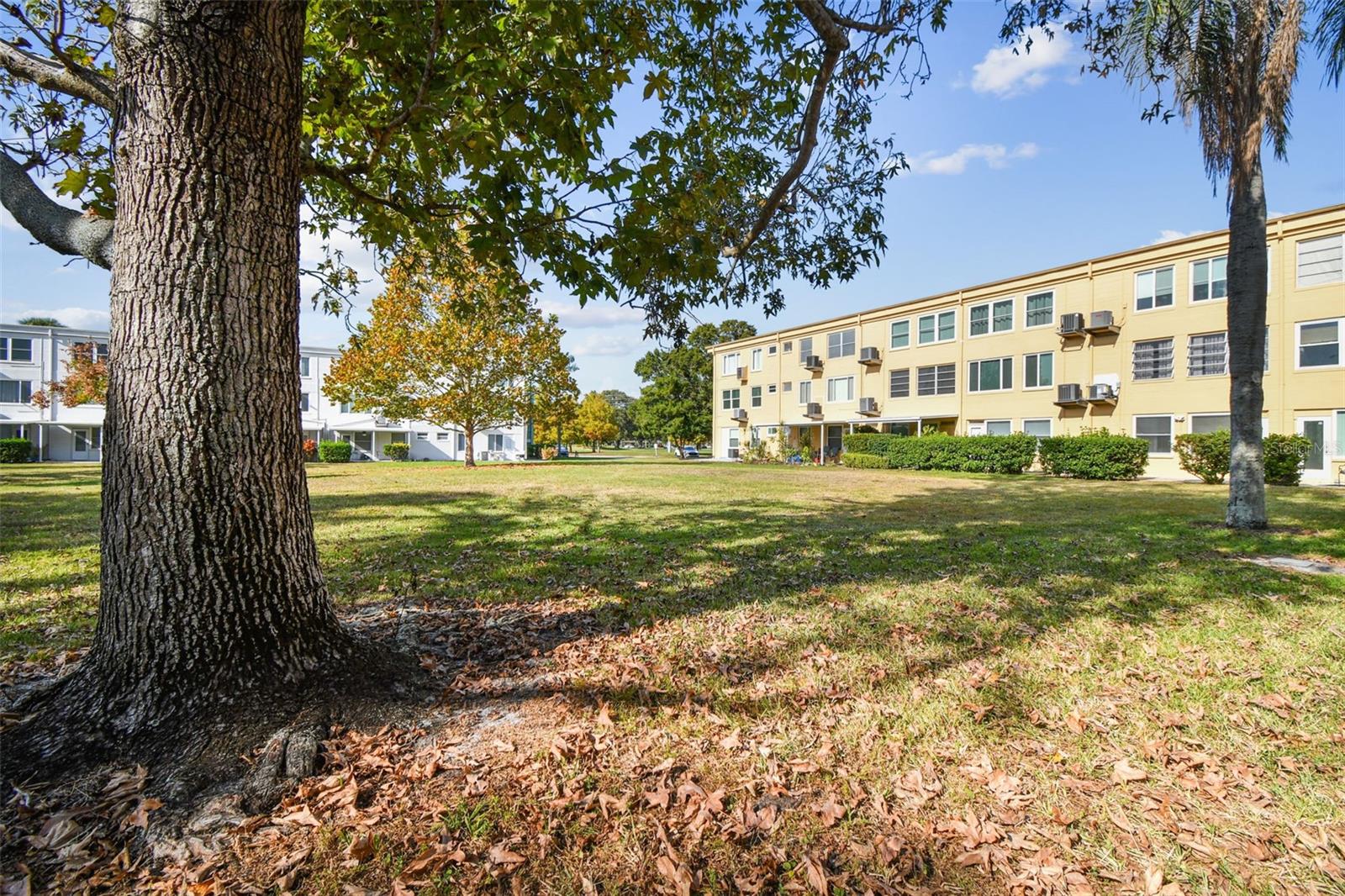 Image 35 of 73 For 2466 Ecuadorian Way 6