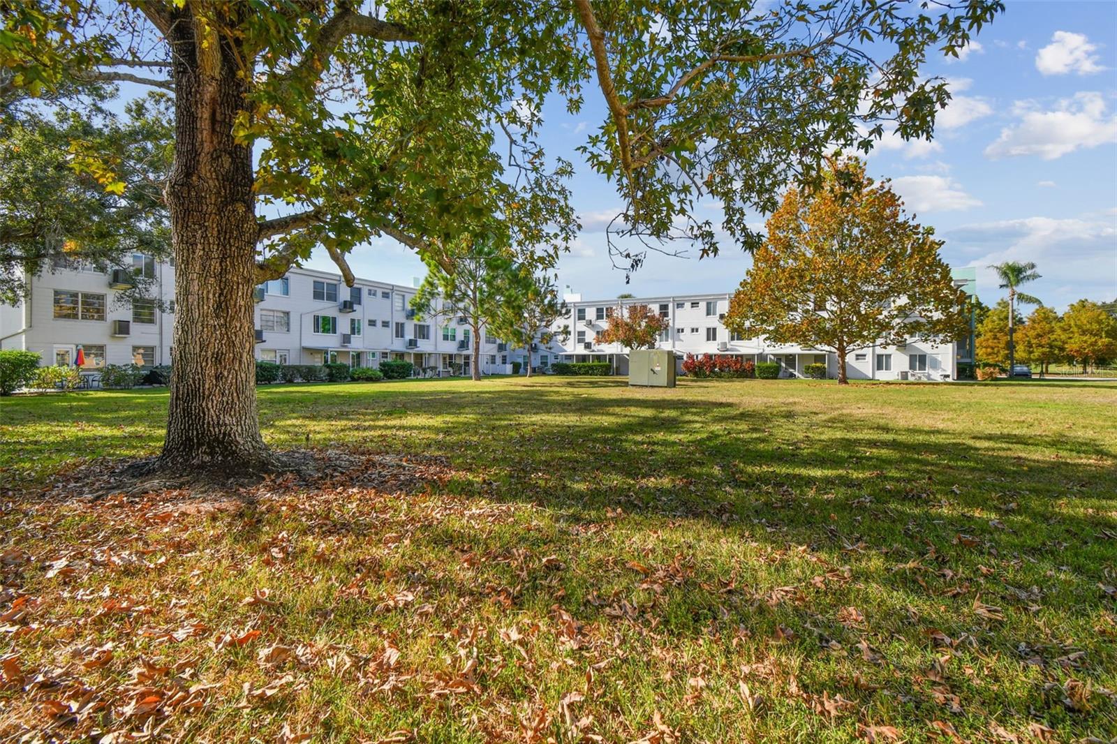 Image 36 of 73 For 2466 Ecuadorian Way 6