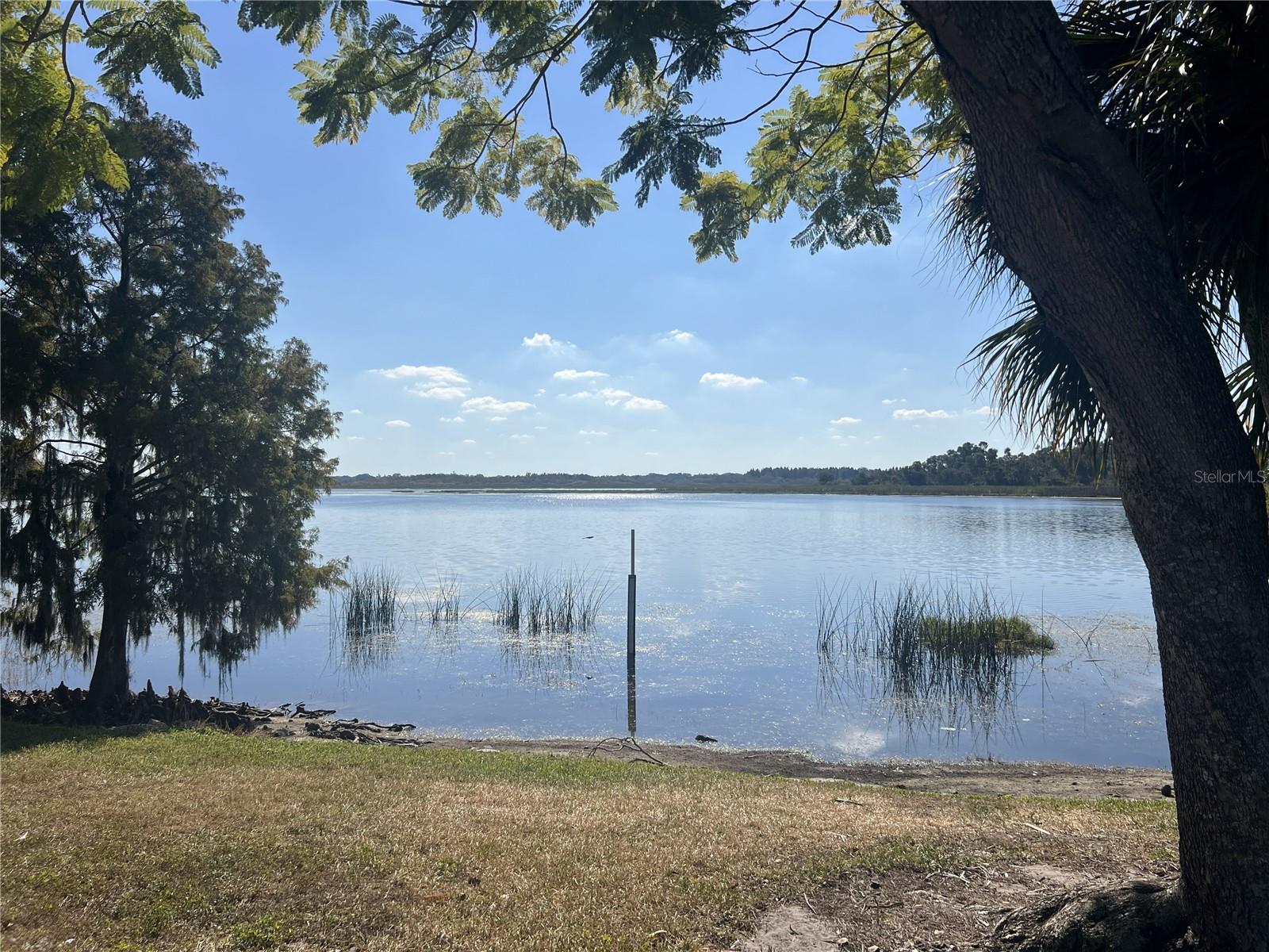 Image 79 of 84 For 1403 Fern Place