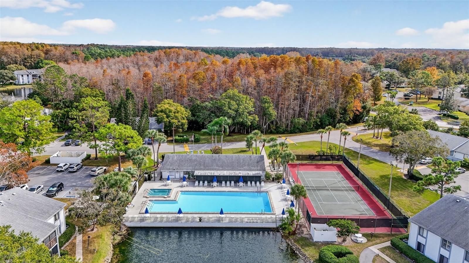 Image 29 of 42 For 1258 Pine Ridge Circle W D1