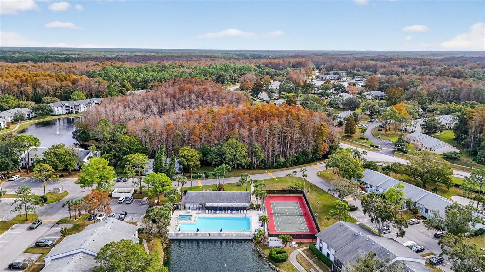 Image 30 of 42 For 1258 Pine Ridge Circle W D1