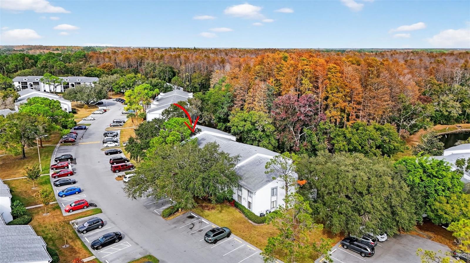 Image 31 of 42 For 1258 Pine Ridge Circle W D1